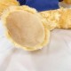 【團購商品,10隻起做】NCNU畢業微笑小熊_藍 【團購商品,10隻起做】NCNU畢業微笑小熊_藍